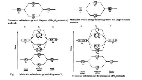 Energy Level Diagrams Of O And N Oxygen Nitrogen Molecule My Xxx Hot Girl