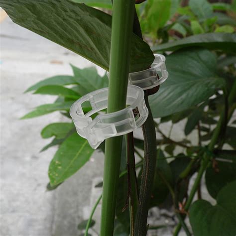 Skyplant High Quality Tomato Grafting Clips Plant Support Clips Buy