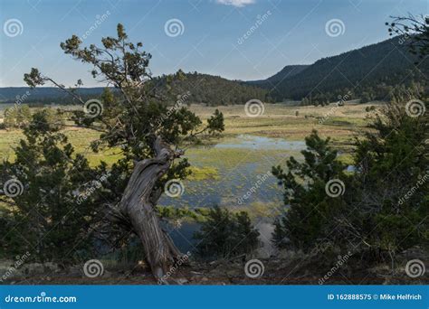 Quemado Lake At Juniper Campground New Mexico Stock Image Image Of