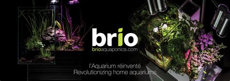 Get free shipping on qualified garden decor or buy online pick up in store today in the outdoors department. Aquascape Urban Eco Garden Décor Aquariums — TailsNTeeth