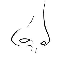 Learn how to draw a nose in this ultimate guide that features video tutorials and images. Drawing a cartoon nose