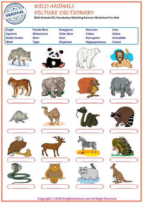 Wild Animals Esl Worksheets