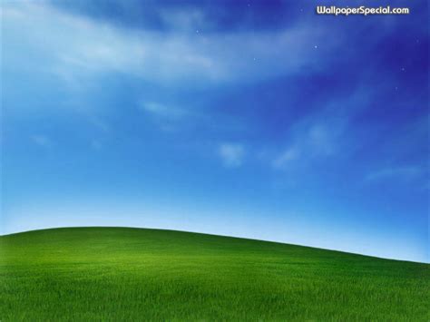 Free Download Windows Xp Bliss Wallpapers Hd Wallpapers 1920x1200 For
