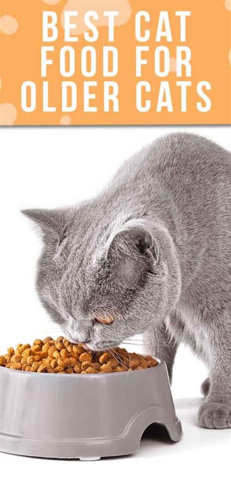 Best Cat Food For Older Cats Choosing The Right Senior Cat Food