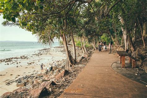Penang national park travelers' reviews, business hours, introduction, open hours. Noosa Heads Coastal Walk | Noosa Main Beach - Sunshine Beach