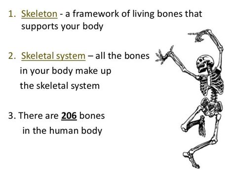 5 Major Functions Of The Skeletal System Slide Share