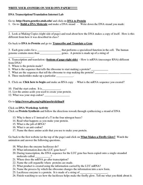Transcription and translation by good science worksheets tpt. Transcription And Translation Worksheet Answer Key Biology — excelguider.com