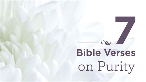 7 Bible Verses About Purity