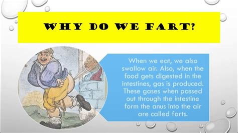 Why Do We Fart Youtube