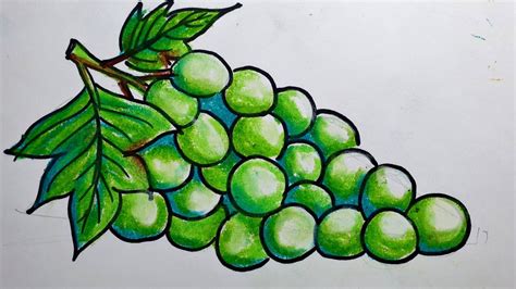How To Draw Grapes Step By Step Grape Drawing Drawings Oil Pastel Art