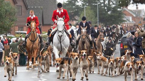 atherstone hunt saboteurs claim victory as fox hunt forced to shut down news the times
