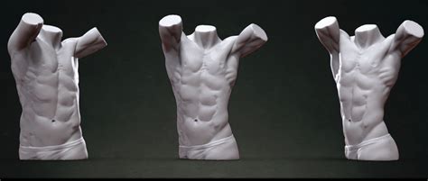 Male Torso Sculpt 3d Model Cgtrader
