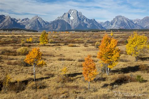 Autumn In The Tetons Wyoming D Todd Schneider Photography