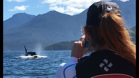 Sea Kayaking With Orca Humpbacks And Grizzly Bear Vancouver Island