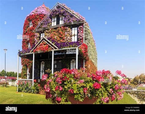 House Covered In Flowers At Dubais Miracle Garden Largest Natural