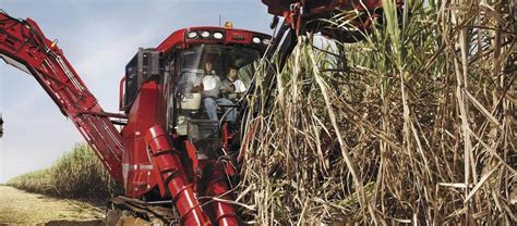 Sugar Cane Harvester Austoft 8000 Case Ih