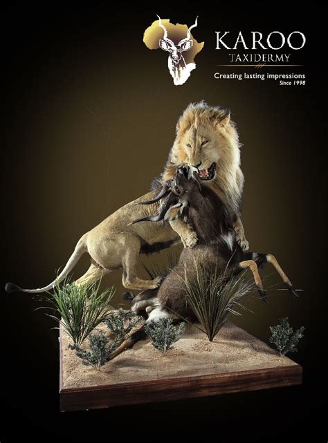 Lion Diorama Project For Kids