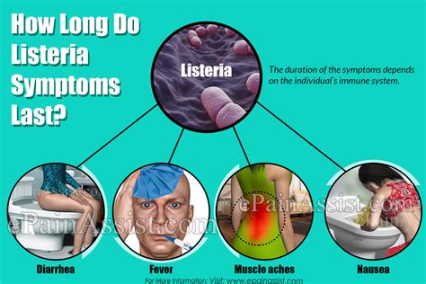 Listeria is most commonly treated through the use of antibiotics. Listeria infection symptoms - How to Heal