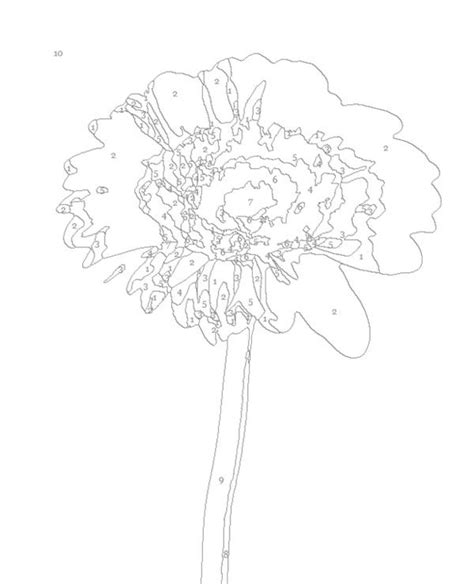 Don't underestimate the power of colouring in as an adult! Paint by number- free download | Paint by number, Color by ...