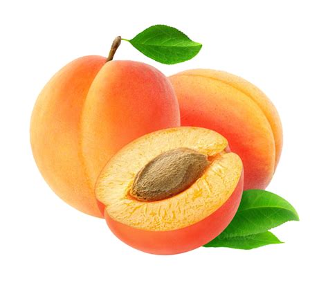Apricot Png Images Transparent Free Download Pngmart
