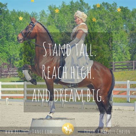 30 Success Quotes For Equestrians Inspiring Horse Quotes To Motivate