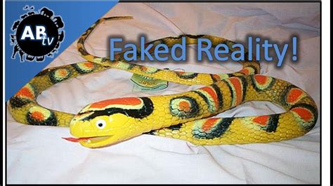 Faked Reality Snake Capture Snakebytestv Animalbytestv Youtube