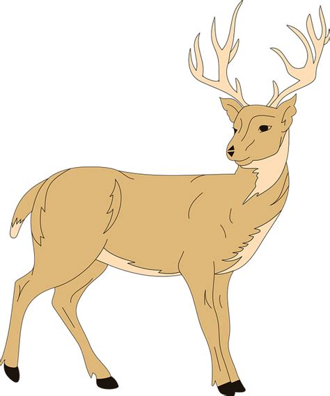 Download 61 Gambar Animasi Hewan Rusa HD Gratis - Gambar Animasi