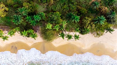 Aerial Landscape View Of Bureh Beach Freetown Sierra Leone Windows