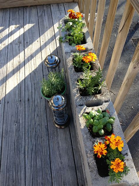 Our Small Herb Garden On The Deck Gardens Small