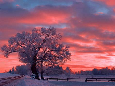 Bing Snow Sunset Wallpapers Wallpaper 1 Source For Free Awesome