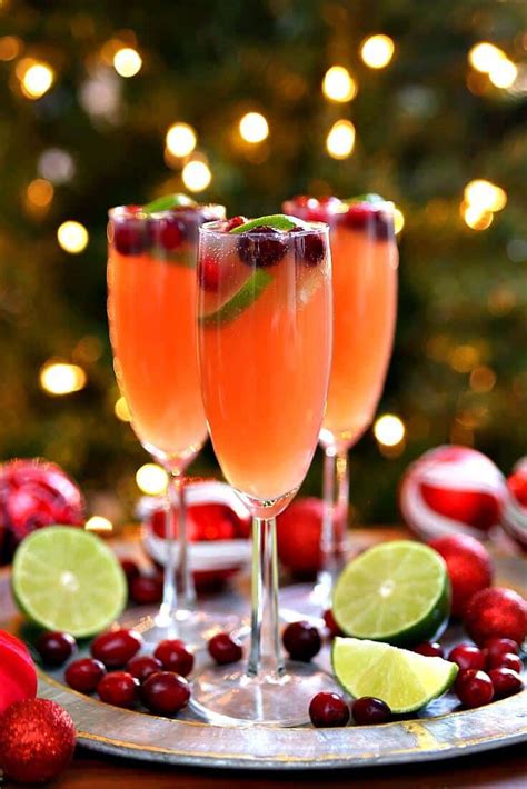 Something about the mix of sugar, bitters and champagne fizzing in a glass helps to bring a little party to even a relaxed night in. 20 Holiday Cocktail Recipes for Your Next Party - An Unblurred Lady