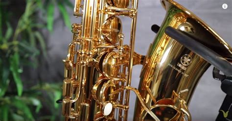 The Top 20 Saxophone Brands And Brands To Avoid Whistleaway