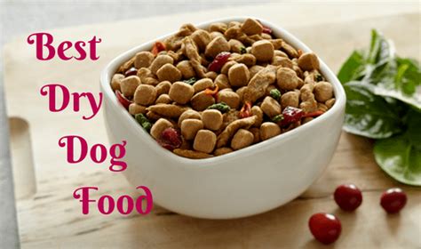 There are so many brands available, and there have been plenty of recalls on pet food, and keep reading for our detailed reviews of each brand of dog food with probiotics, where we compare ingredients, kibble size, grain, and protein, to help you. Best Dry Dog Food Reviews for Healthy Living | Hellow dog