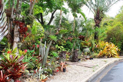 Private Tropical Style Garden In Brisbane Tropical Garden Design