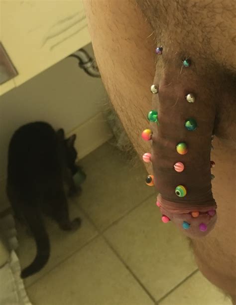 Pierced Penis Tumblr Gallery