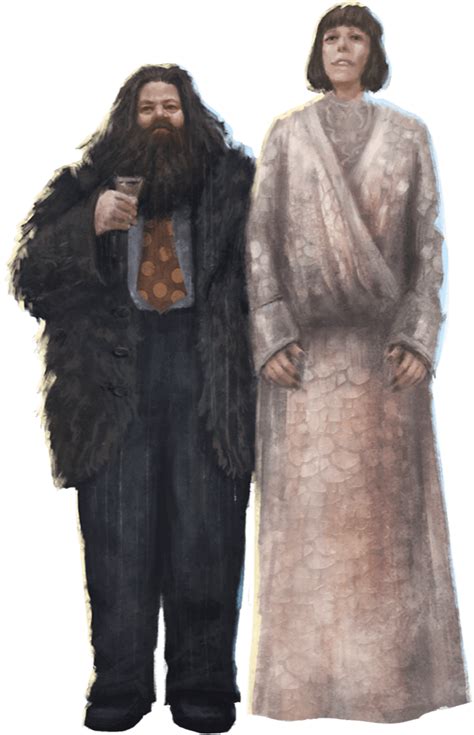 Mœurs de province, couramment abrégé en madame bovary, est un roman de gustave flaubert paru en 1857 chez michel lévy frères, après une préparution en 1856 dans la revue de paris. Trace Encounter | Harry Potter Wizards Unite Wiki - GamePress
