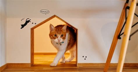 【家づくり】猫ちゃんといっしょに暮らす実例アイディア｜インテリアのアイデア｜暮らしニスタ