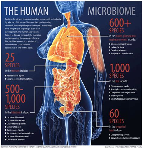 Microbes In Disease And Health