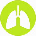 Icon Respiratory Getdrawings Lungs