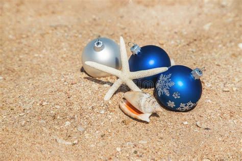 Christmas On The Beach Travels Stock Photo Image Of Concept Ocean