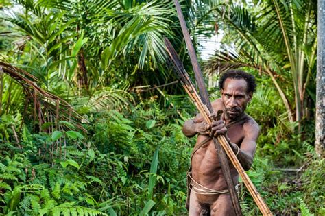 Tribu Dhomme De Korowai De Papuan Dans La Maison Sur Un Arbre Photo