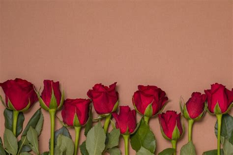 Valentines Day Background Seamless Nude Background With Red Rose Border Premium Photo