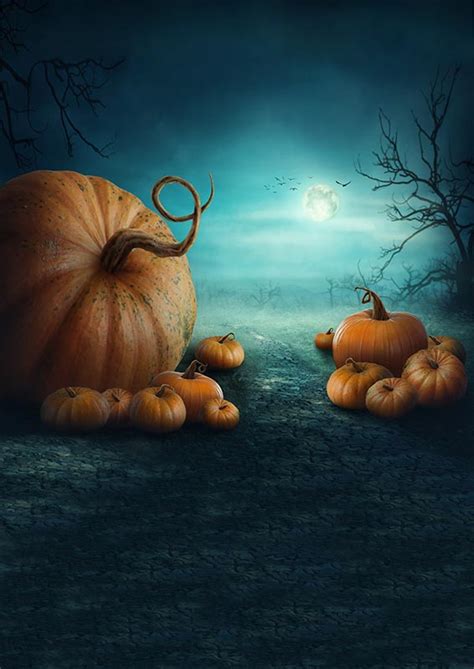 New Halloween Big Pumpkin Theme Photography Backdrop Sale