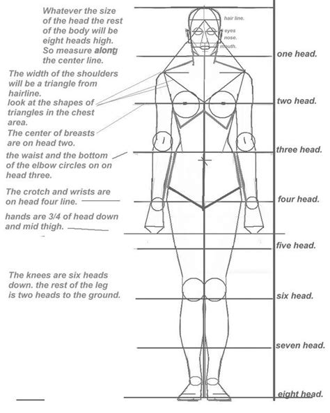 Basic Human Proportion Sheet Insan Figürleri Anatomi Desenler