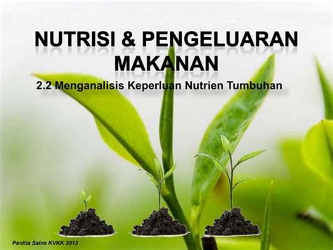Tabel Makronutrien Dan Mikronutrien Pada Tumbuhan