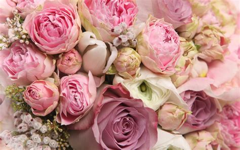 Bouquet Roses Romantic Wallpaper 2880x1800 29549
