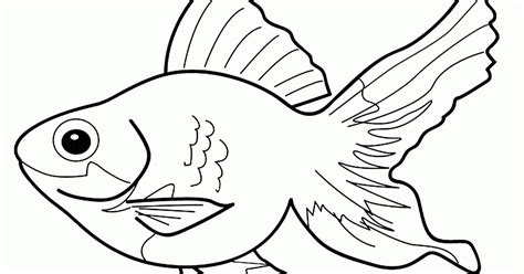 Nggak bagi kaum anak kecil saja. Gambar Kartun Hewan Ikan | Bestkartun