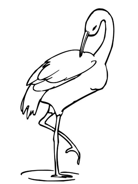 Just print out our fun badger tutorial and follow along, step by step, until you've got. Crane Bird | NetArt