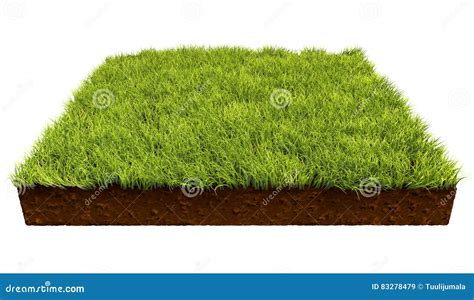 A Piece Of Turf With Grass Royalty Free Cartoon