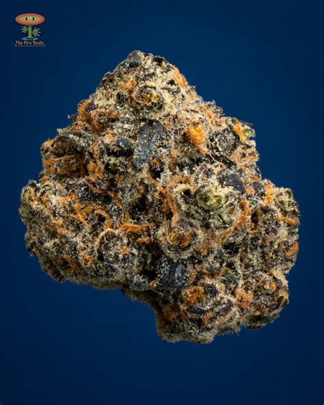 Blue Raspberry Gelato By Cannatique The Fire Scale